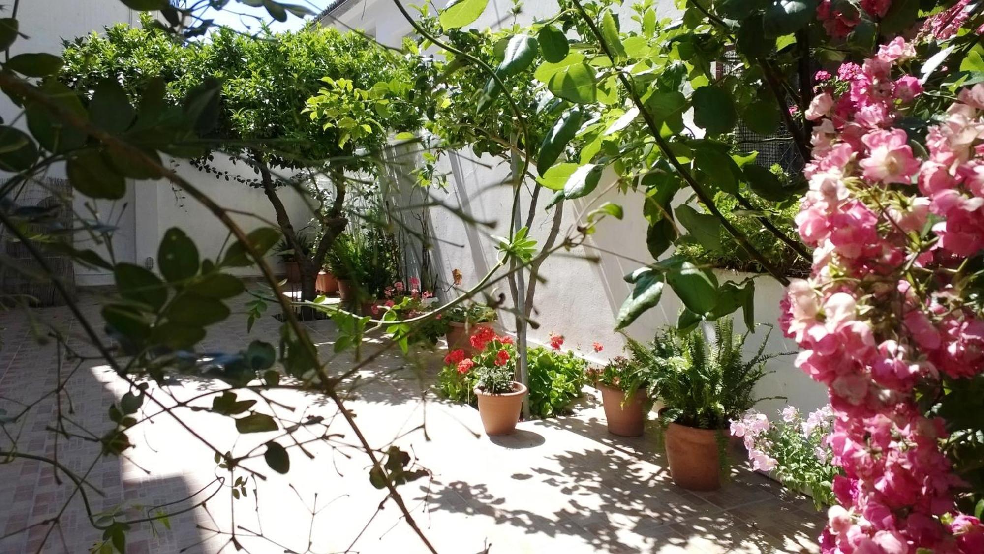 Evia Studios Loutrá Edipsoú Eksteriør bilde
